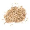 Malta Chit Malt -Bestmalz