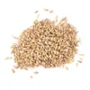 Malta Chit Malt x 1 Kg BestMalz Malta Chit Malt -Bestmalz