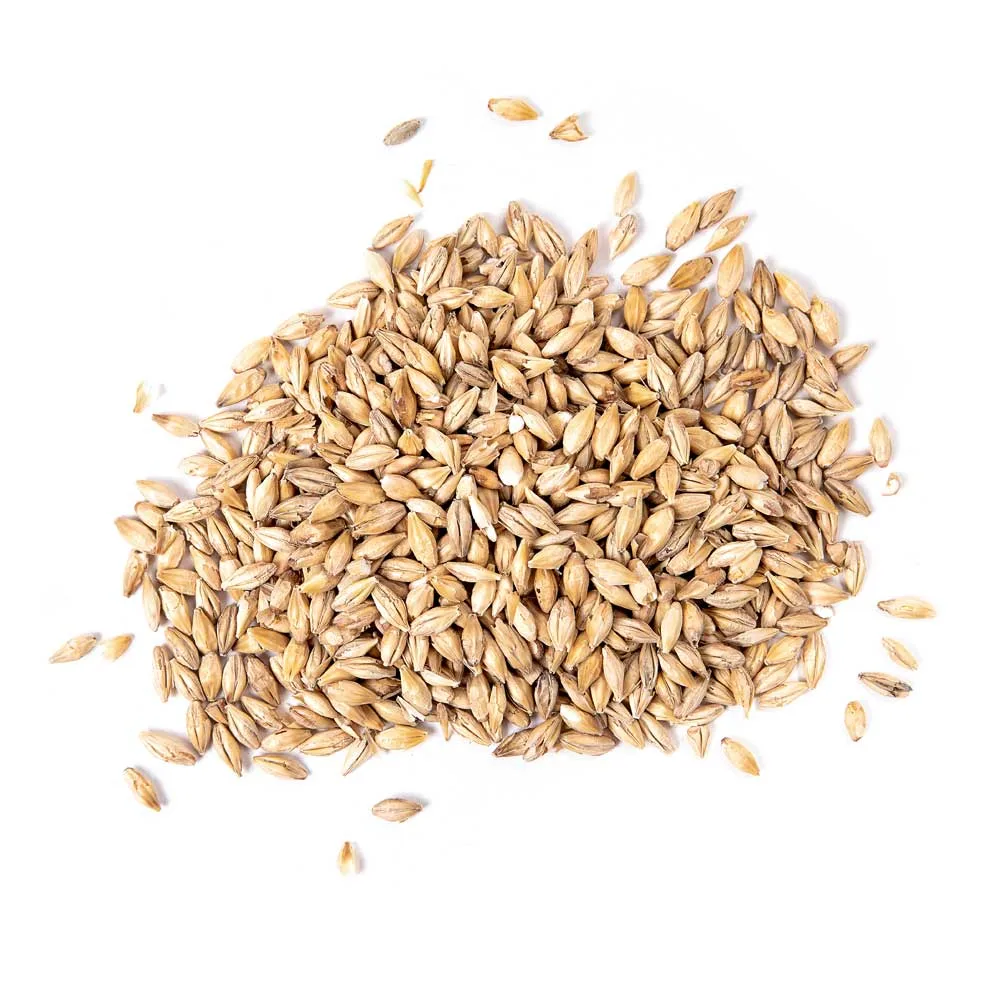Malta Chit Malt x 25 Kg Bestmalz Malta Chit Malt -Bestmalz