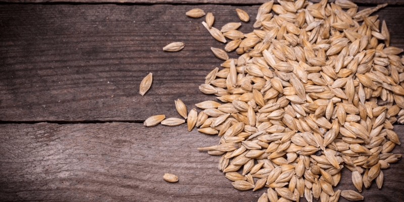 Boortmalt: Extracto vs. Proteínas Boortmalt Extracto vs Proteínas