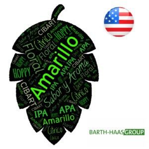 Lúpulo Amarillo x 100 grs