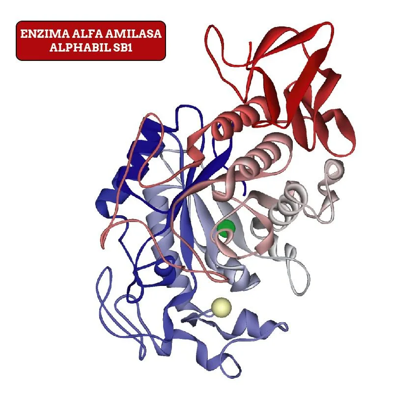 Enzima Alfa Amilasa x 15 ml Alphamil SB1 Enzima Alfa Amilasa (Alphamil SB1)