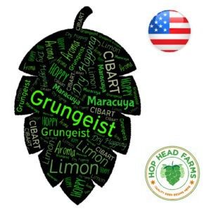 Lúpulo Grungeist x 5 kg Lúpulo Grungeist x 5 kg