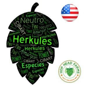 Lúpulo Herkules x 100 grs Lúpulo Herkules x 100 grs