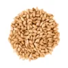 Malta Dextrina Ex Carapils x 25 Kg Maltear