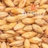 Malta Melanoidin - Bestmalz