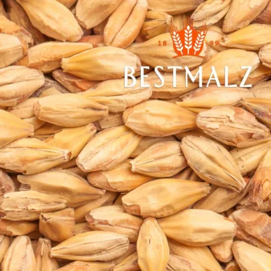 Malta Melanoidin - Bestmalz