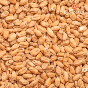 Trigo malteado wheat malt - Bestmalz