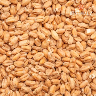 Trigo malteado wheat malt - Bestmalz