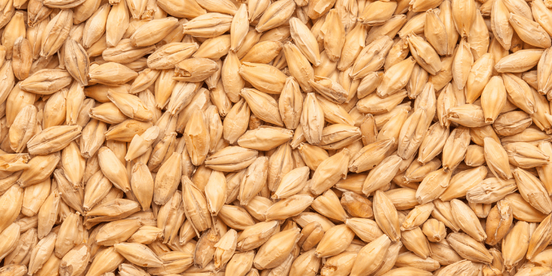 Arranca la Temporada Cervecera malta pale ale 25 kg