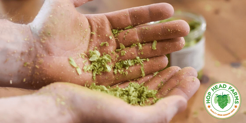 Lupulos de Culto - Cerveza Artesanal