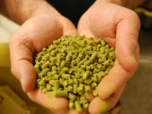 Lupulos de Culto - Insumos Cerveza Artesanal