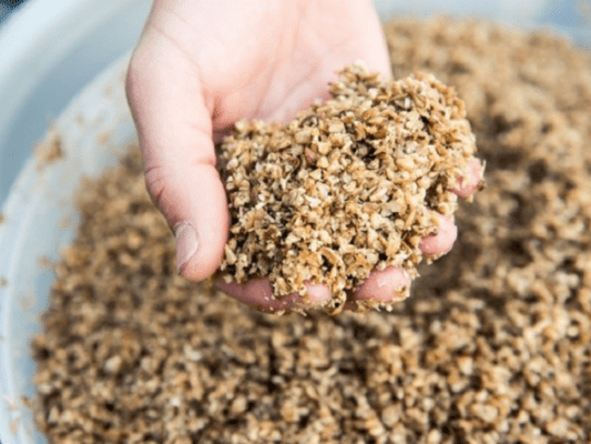 Que hacer con el Bagazo de cerveza