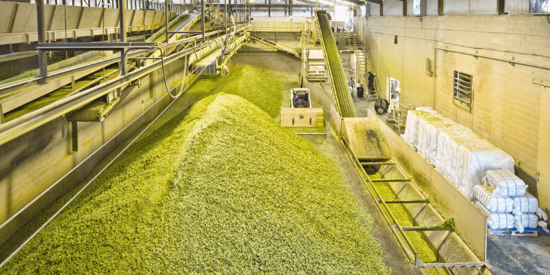 Hopsteiner, variedad y calidad para tu Cerveza Hopsteiner lupulos