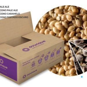 Kit Buckwheat Pale Ale Cerveza Gluten Free Kit Buckwheat Pale Ale - Cerveza Gluten Free