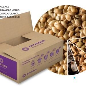 Kit Caramel Amber Ale Cerveza Gluten Free Kit Caramel Amber Ale - Cerveza Gluten Free