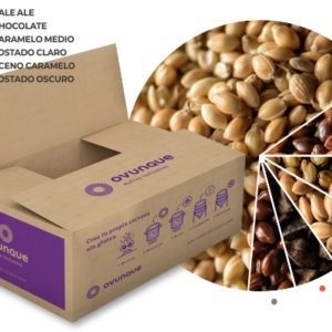 Kit Chocolate Porter - Cerveza Gluten Free