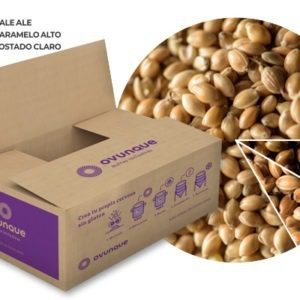 Kit Classic Golden - Cerveza Gluten Free