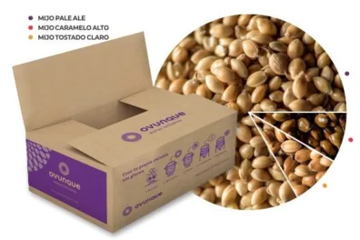 Kit Classic Golden - Cerveza Gluten Free