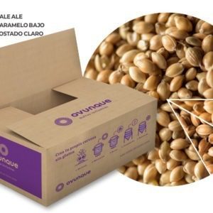 Kit Millet IPA Cerveza Gluten Free Kit Millet IPA - Cerveza Gluten Free