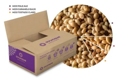 Kit Millet IPA - Cerveza Gluten Free