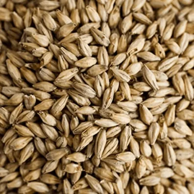 Malta de Avena (oat malt)