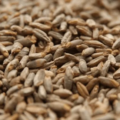 Malta de Centeno (Rye malt)