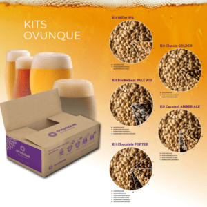 Kit Buckwheat Pale Ale Cerveza Gluten Free Cerveza Gluten Free