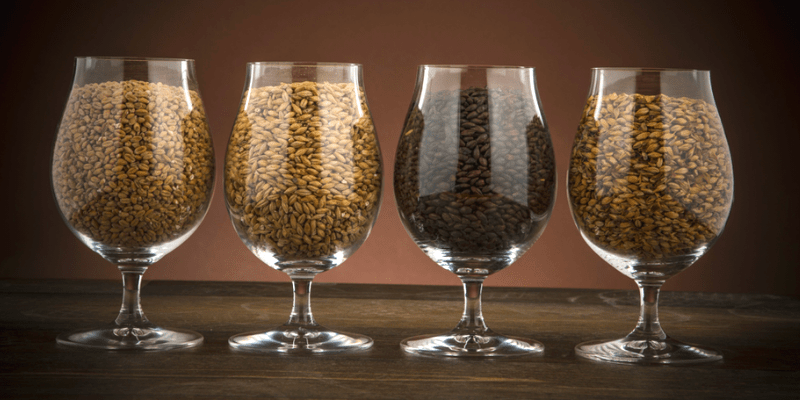 Página de Agradecimiento Curso Avanzado de Elaboración de Cerveza Malta