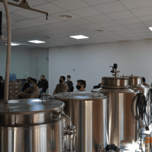 Equipo Elaboración Profesional