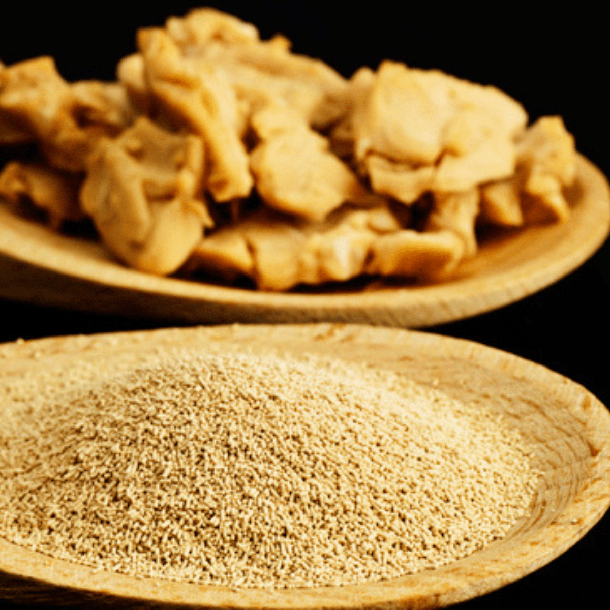 регенерация дрожжей. термофильные дрожжи. регенерация дрожжей. размножение дрожжей. регенерация дрожжей.