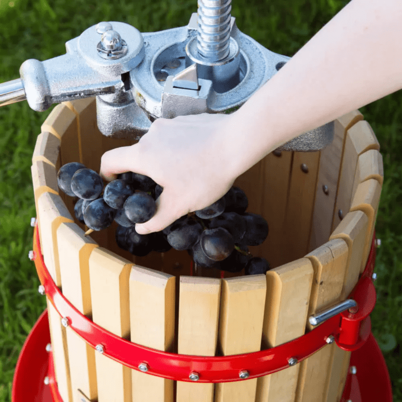 Molienda vino