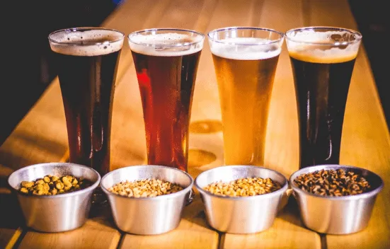 Cursos de Cerveza para Avanzados