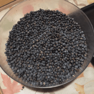 Enebro x 1 kg Enebro