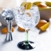 Curso de Destilación y Elaboración de Gin