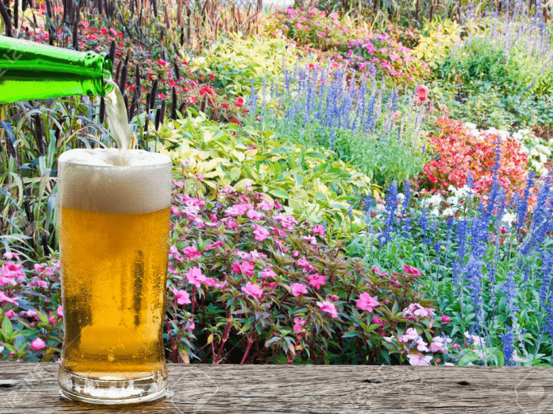 Estilos de Cerveza más consumidos en Primavera