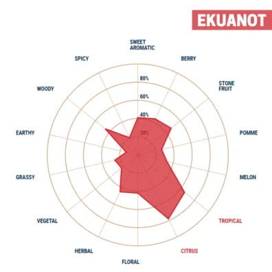 Lúpulo Ekuanot