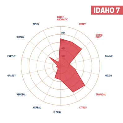 Lúpulo Idaho 7 x 454 grs Yakima Chiefs Cosecha 2022 Lúpulo Idaho 7