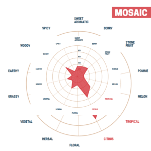 Lúpulo Mosaic Cryo Hops x 5 Kg Yakima Chiefs Cosecha 2023 Lúpulo Mosaic