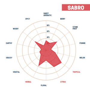 Lúpulo Sabro x 454 grs Yakima Chiefs Cosecha 2022 Lúpulo Sabro