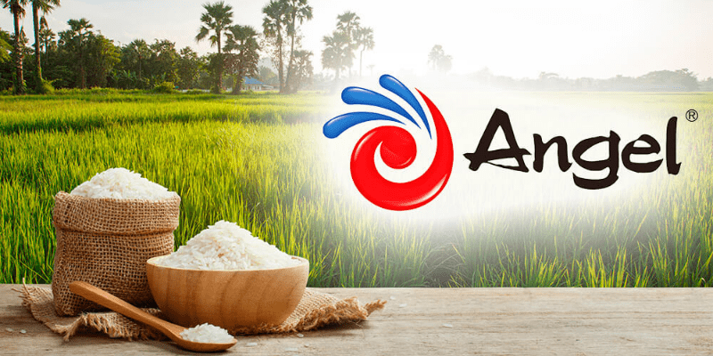 Angel Yeast, Levaduras Libres de OMG Angel Yeast, Levaduras Libres de OMG 1