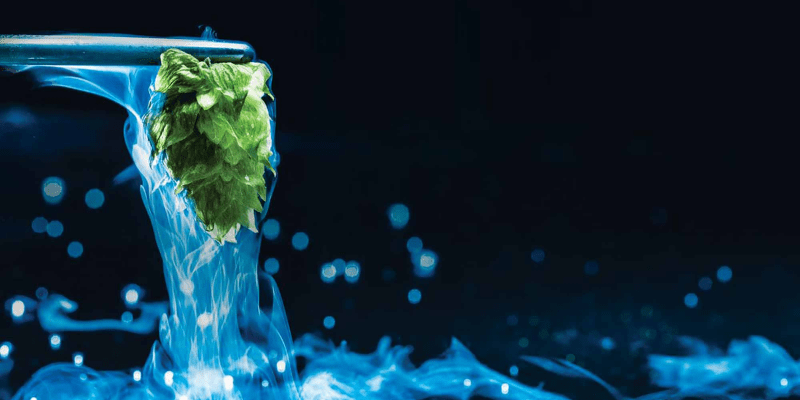 Cryo Hops Yakima Chief