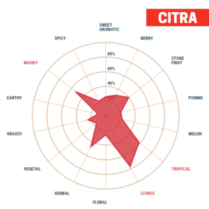 Lúpulo Citra