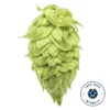 Lúpulo Ekuanot Cryo Hops 1 Kg - Yakima Chiefs