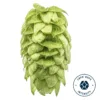 Lúpulo Mosaic Cryo Hops 1 Kg - Yakima Chiefs