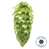 Lúpulo Simcoe Cryo Hops x 100 grs - Yakima Chiefs Lúpulo Simcoe Cryo Hops 1 Kg - Yakima Chiefs