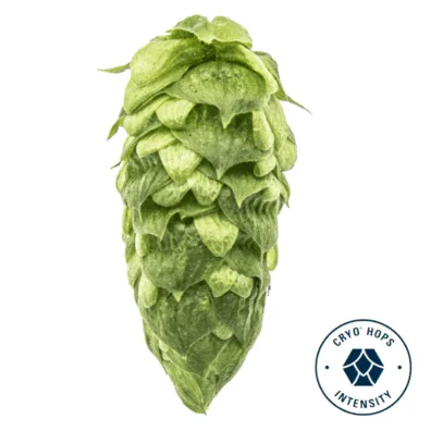 Lúpulo Simcoe Cryo Hops 1 Kg - Yakima Chiefs