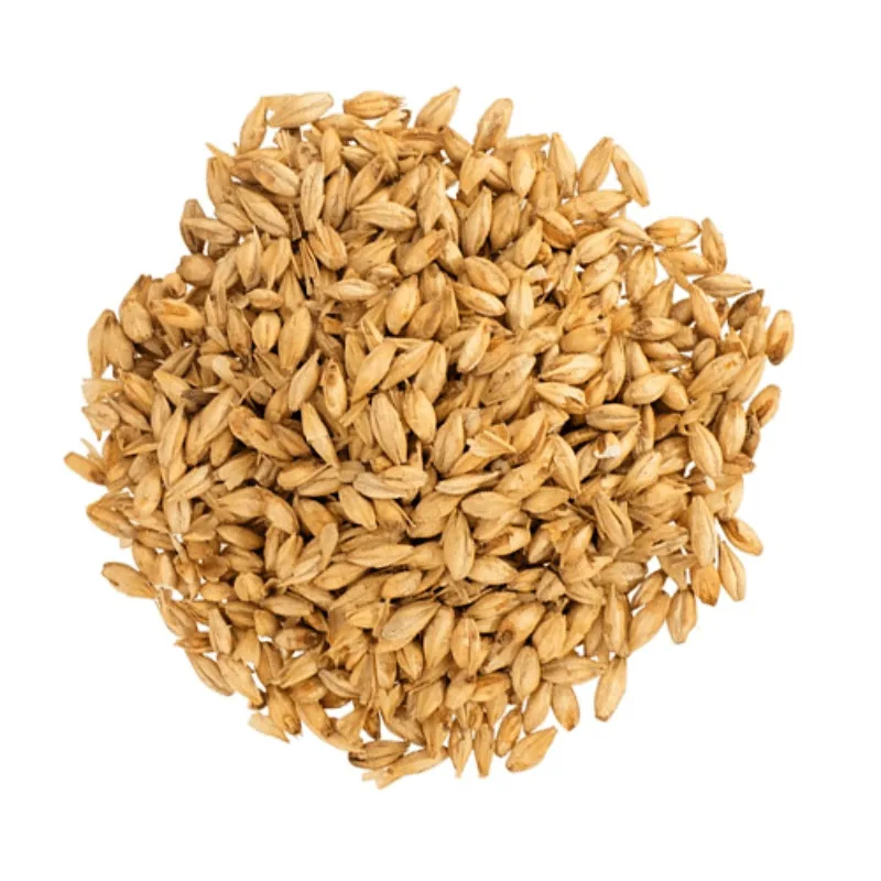 Malta Pale Ale x 25 Kg Bestmalz Malta Pale Ale x 25 Kg - Bestmalz