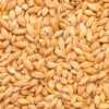 Malta Acidulated x 25 Kg BestMalz Malta Acidulated x 25 Kg - BestMalz