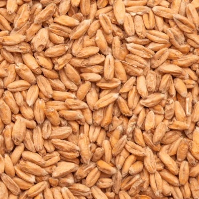 Malta Spelt Malt x 25 Kg - Bestmalz